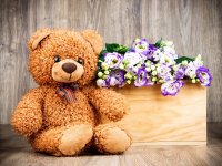 Teddy-toy-bear-flowers_2560x1920.jpg