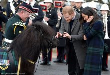 492C207000000578-5384775-Harry_and_Meghan_meet_Pony_Major_Mark_Wilkinson_and_regimental_m-a-1_...jpg