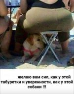 IMG_20220815_080116_603.jpg