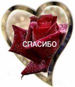 19310583-8631-4BEA-98DB-DBB70884E795.jpeg