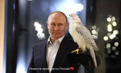 Screenshot_2022-09-07-15-49-34-118_com.vkontakte.android.png