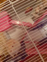 20220907_222401.jpeg