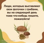49531214-3695-4E3B-833E-60DB6927F639.jpeg