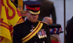 Screenshot 2022-09-17 at 20-12-42 Harry looks broken as he stands next to Queen's coffin with ...png