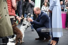 gettyimages-1431127436-2048x2048.jpg