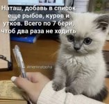 DEA08F95-937A-47EE-957E-FD48D90F47C2.jpeg