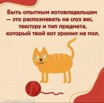 AEDECF3C-EA41-470B-89DC-E50966F90994.jpeg