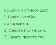 20220929_091910.jpg