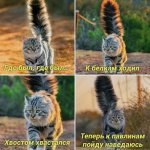 где был.jpg