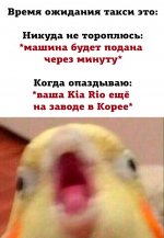 m9tYVTm4BD8.jpg