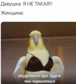 ZFqCOE8rT70.jpg