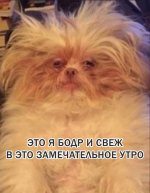 -m1fGjPCCCg.jpg