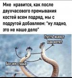 IMG_20221028_114944_074.jpg