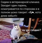 66C01C5C-EFCC-4824-8E9F-BEB80F71AB84.jpeg