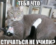 gymEq8xhJaY.jpg