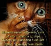 20221029_213955.jpg