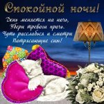 spokoynoy_nochi_otkrytki_3_18082205.jpg