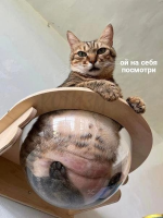 1667825077303.png
