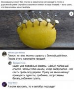 lajfxak_84738.jpg