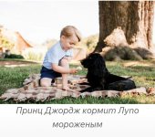 IMG_20191002_173340.jpg