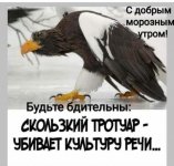 IMG_20221117_094417_418.jpg