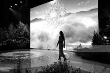 gettyimages-1446248556-2048x2048.jpg