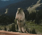 20221208_224133.gif
