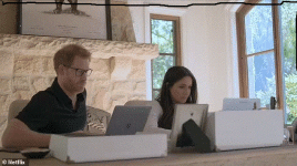 scale_2400 (4)87.gif