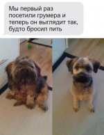 1D223396-1637-42A1-A11F-88F9C2F6FC08.png