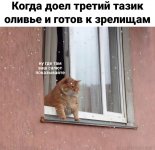11E07F50-92EE-4D74-B95F-6F349D90D313.jpeg