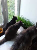 20220814_092207.jpg