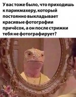 95.jpg