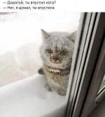 56D185A4-A205-4868-A2CA-F3D686730F98.jpeg