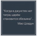 IMG-20230123-WA0000.jpg