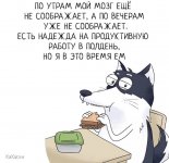 2A669162-DE13-4A8A-A36D-4AF71DB855E5.jpeg