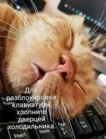 20230222_235550.jpg