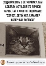 1678003764.jpg