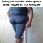 37095872_original.jpg