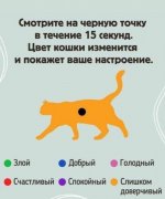 IMG-e79a895fc49e80df7caa7e4f73d8d9e6-V.jpg