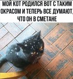 D32796E4-493F-4B9C-A9C0-700C5FE57A87.jpeg
