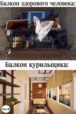 35924073_original.jpg
