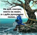 20230331_181138.jpg