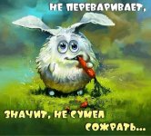 20230331_181123.jpg
