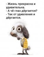 IMG_7022.jpeg