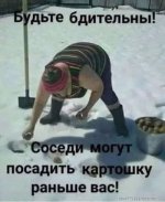 s8468231.jpg
