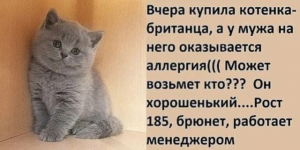 1681659593542.png