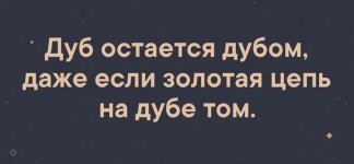 20230420_195523.jpg