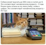 43373083_original.jpg