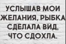 20230504_204554.jpg