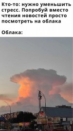 44433773_original.jpg